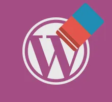 clean-wordpress-header