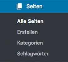 kategorien-und-tags-zu-seiten-in-wordpress-hinzufuegt